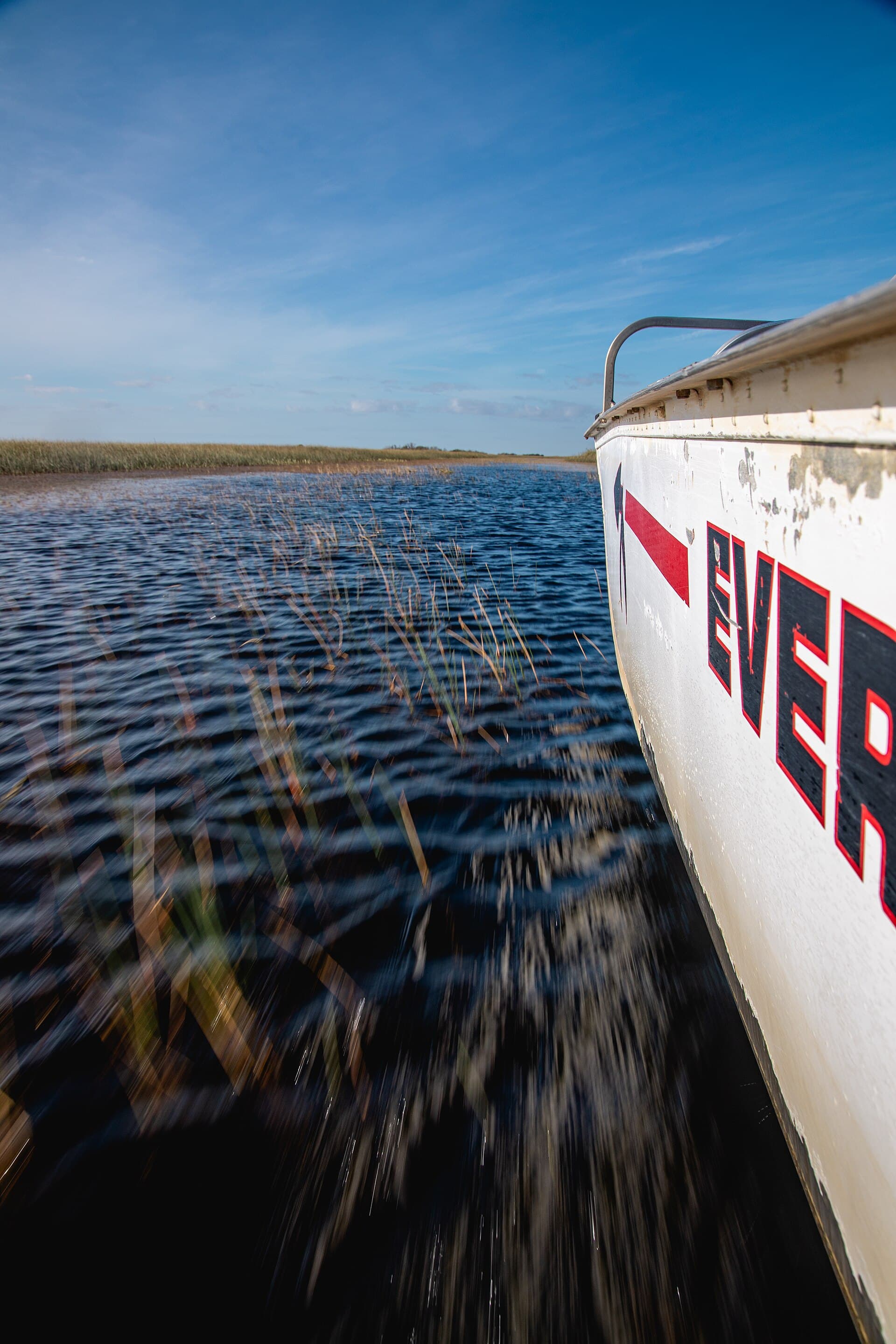 Sawgrass and open water in the Florida Everglades