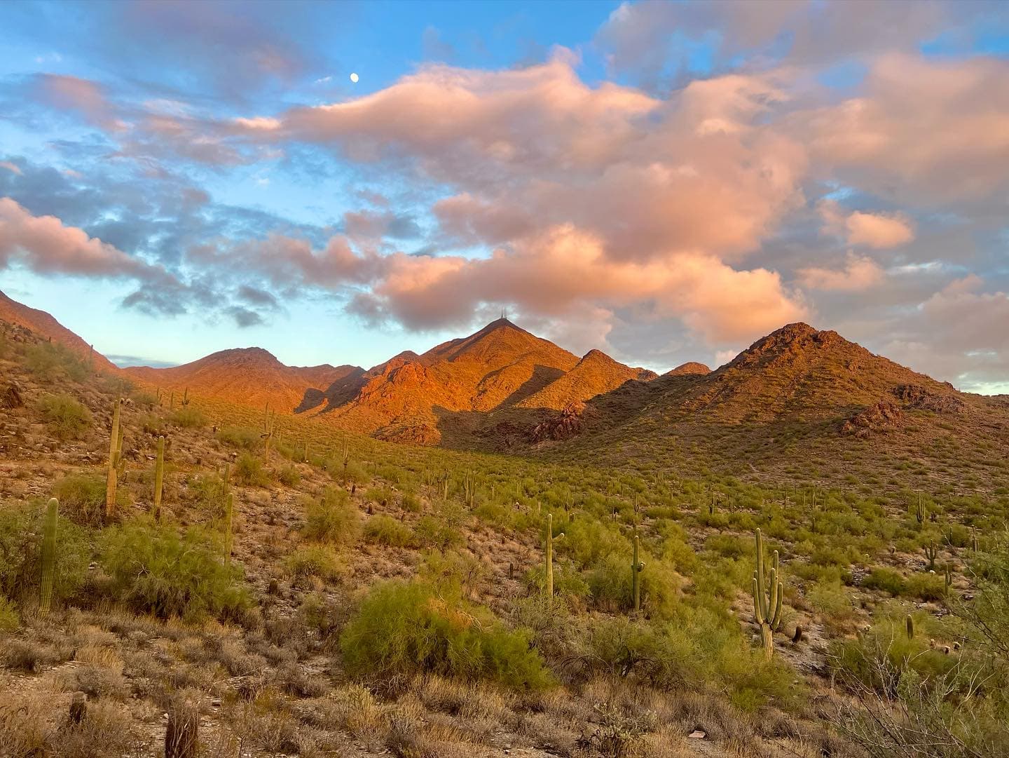 A hiker on a desert ridge at sunrise in the McDowell mountains